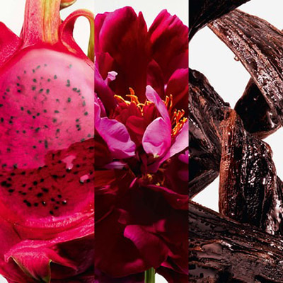 Ingredientes Perfume La Bomba Aromas.es