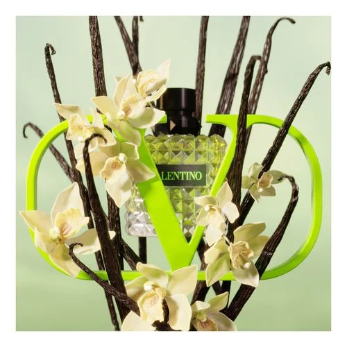 Comprar  Valentino Born in Roma Uomo Green Stravaganza en Aromas